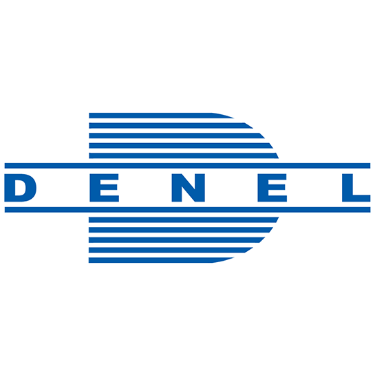 Colour Logo DENEL